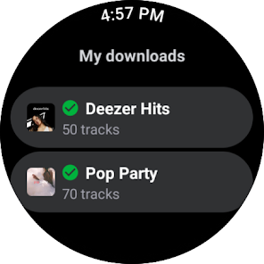 Screenshot 30