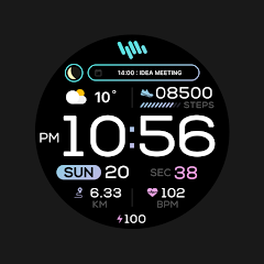 SamWatch PointColor 6 2024