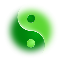 FreeTaichi - Tai Chi video