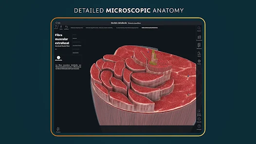 Screenshot 22