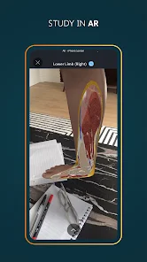 Screenshot 17