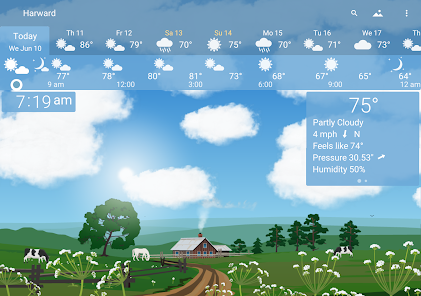 Screenshot 15